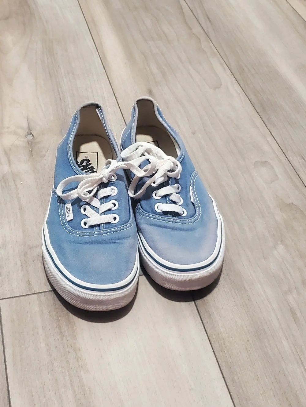 Vans Authentic Low Top Sneakers in Light Blue